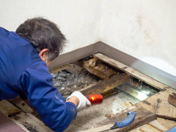 Water Damage Restoration in Arial, SC