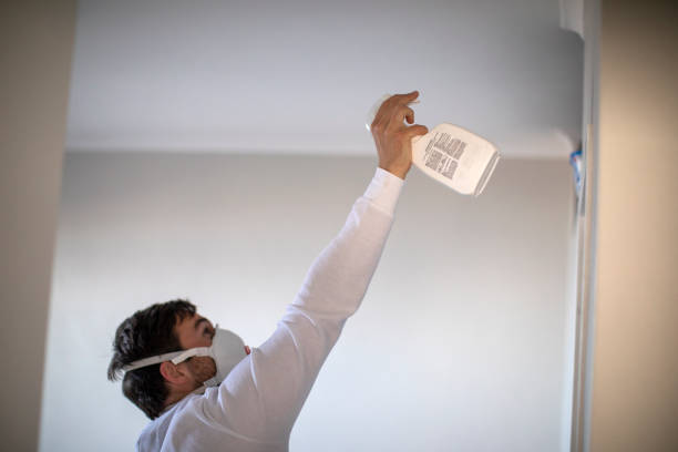 Best Fast Mold Removal  in Arial, SC